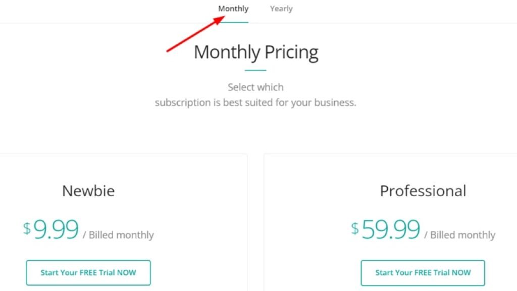 MerchInformer Monthly Pricing